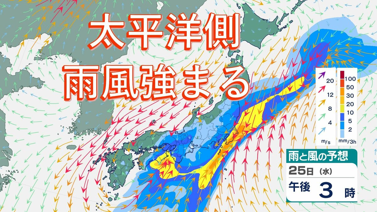25日は太平洋側を中心に雨⋯いつどこで雨強まる？　しばらくは雨の日続く予想【雨風シミュレーション】