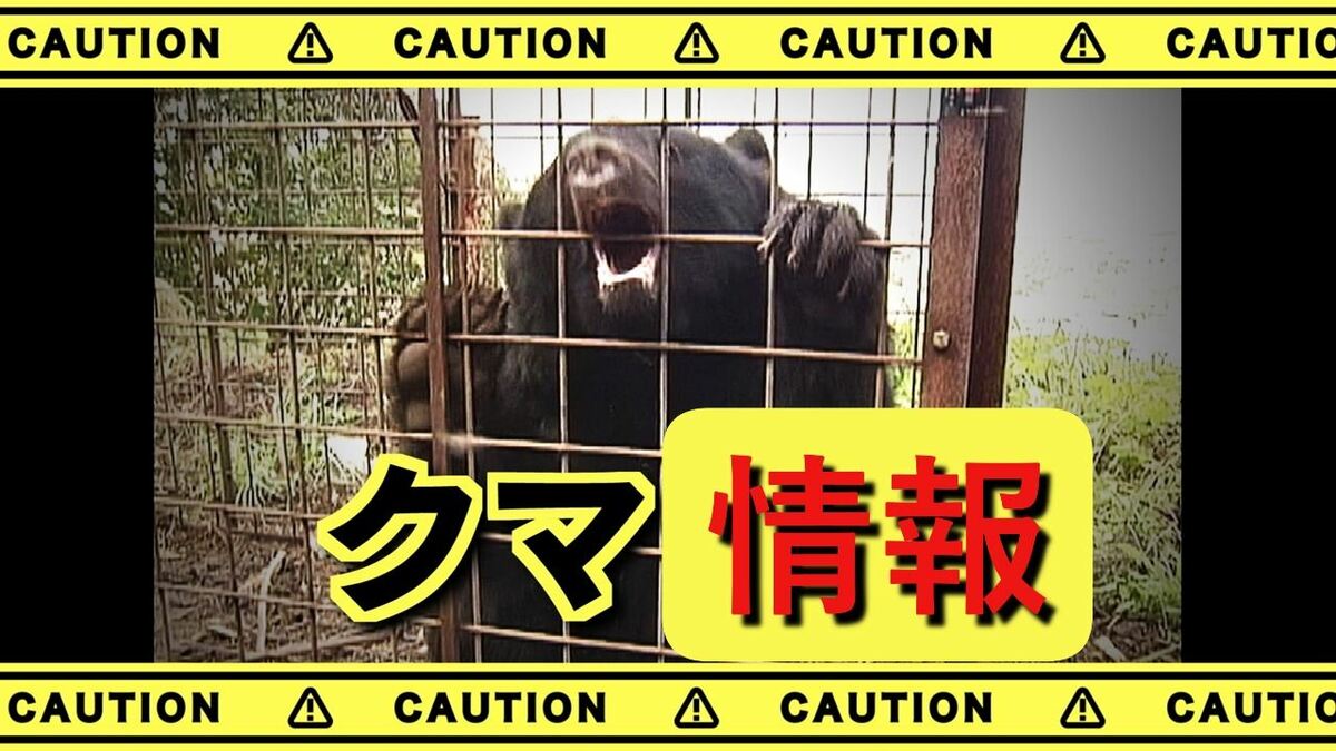 クマらしき動物を目撃　体長は１ｍくらい　注意を呼び掛け　山梨市