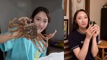 【 片原恵麻 】親友との手巻き寿司ホムパで大きな蟹を自らさばいて振る舞う　「1人で30分くらいでさばけた」|TBS NEWS DIG