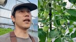 【 松山ケンイチ 】「見て下さい」「すごいですよ」農園でトマトの育成に手応え　フォロワー反応「趣味の域ではない」「農家の我が家より立派」|TBS NEWS DIG