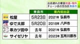 他の市に比べ「7年遅れ」のことも… なぜ?県庁所在地なのに全国チェーンの出店遅い『青森市』 その要因は? 専門家にきいた3つの“ハードル”「一番目に出店しようとしても、なかなか場所を探しにくい」 | 青森のニュース│ATV NEWS│青森テレビ