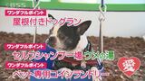 1月11日はワンワンワン…注目のドッグラン施設に行ってみた　コインランドリーも完備で遊びも洗濯も一度にできて便利！！　|　BSSニュース | BSS山陰放送