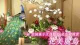 全国菓子大博覧会で日本一「花美麗鳥」など約100点展示 職人の技が光る工芸菓子の作品展【岡山】 |TBS NEWS DIG