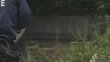 【速報】「草刈りをしていたところ姿が見えなくなった」ため池に高齢男性2人転落　心肺停止の状態で搬送され死亡　和歌山市　|　MBSニュース | 関西の最新ニュースを分かりやすく。