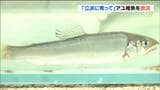 「泳いでいるところがかわいかった」アユ釣り解禁を前に 小学生が稚魚3000匹放流 宮城・加美町 | 宮城のニュース│tbc NEWS│tbc東北放送