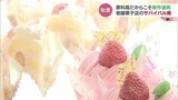 原料高だからこそ35年ぶり新作！キーワードは“生”　老舗菓子店流サバイバルで逆転へ　|　富山のニュース｜天気・防災｜チューリップテレビ
