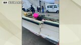湾内で小型船と漁船が衝突 小型船の2人は直前に海に飛び込む けが人なし 岩手・大船渡市|TBS NEWS DIG