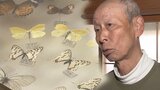“葛藤を抱え”チョウの採集を続けた男性“あの日”のあと「息絶えたチョウ」を標本にして残した理由　|　宮城のニュース│tbc NEWS│tbc東北放送