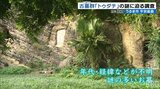 謎の古墓群「トゥダチ」 謎解明へ専門家が調査 うるま市平安座島|TBS NEWS DIG