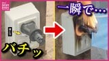 「バチッ!これは怖い…」 コード束ねたままのドライヤー使用で火花が… 乾燥シーズン“電気火災”の危険 消防で再現実験 トラッキング現象・コード火災 小さな火から大規模火災に 予防と対策ポイントは?|TBS NEWS DIG