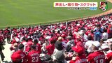 声出し･鳴り物･スクワット　広島カープ　応援ルール 一部緩和　|　RCC NEWS | 広島ニュース | RCC中国放送
