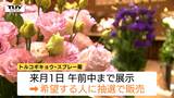 パッと華やか！庄内町産のトルコギキョウを展示するフラワーショー　市場でも高評価！かわいくきれいな花を知ってほしい（山形）　|　山形のニュース│TUYテレビユー山形