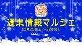 【鹿児島】週末イベント情報【2024年12月21日~12月22日】 | 鹿児島のニュース|MBC NEWS|南日本放送