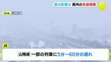 【大雪情報・広島】JRや高速道路など交通にも影響（午前4時半ごろ放送）|TBS NEWS DIG