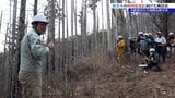 山林火災の被災木 加工後の強度は通常の木材と同等と報告される 岩手・大船渡市 | IBC NEWS | IBC岩手放送