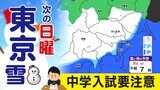 【東京・神奈川・首都圏2月2日(日)雪か?】中学入試 交通機関の乱れ注意【雪はどこで いつから降る?/1時間ごと雪シミュレーション】東京・神奈川・埼玉・千葉・群馬・栃木・茨城・山梨の天気予報 | 鹿児島のニュース|MBC NEWS|南日本放送