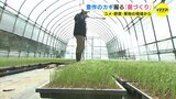 収穫の秋のポイントは春　消費者が知らない「苗半作」 喜ぶ顔を見るために　|　RCC NEWS | 広島ニュース | RCC中国放送