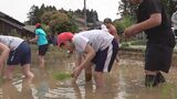 地震を経ても田んぼは無事 小学生が田植え体験 石川・七尾市　|　石川県のニュース｜MRO北陸放送