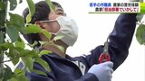 若手の市職員が農家の苦労体験　農家「担当部署でいかして」|TBS NEWS DIG