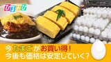 たまごを買うなら今!？“物価の優等生”たまごがお買い得に！【ひるおび】|TBS NEWS DIG