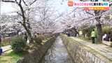 京都「哲学の道」約400本の桜が見ごろ　きょう29日は5月上旬並みの暖かさ　多くの観光客らで賑わう|TBS NEWS DIG