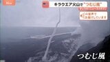 ハワイ・キラウエア火山で“つむじ風”！？|TBS NEWS DIG