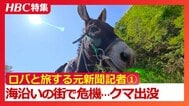 「素朴にロバがいる生活っていいな…」ロバと元新聞記者がめぐる全国旅①北海道の海洋深層水を釜で煮立てて塩作り　熊出没で相棒のクサツネに迫る危機も　|　北海道のニュース｜HBC北海道放送