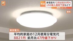 東電管内の電気料金、12月は約50円値下がり　燃料価格の下落受け| TBS CROSS DIG with Bloomberg