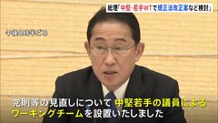 岸田総理「中堅若手議員のWTで規正法改正案など検討」党のヒアリングとアンケートは終了| TBS CROSS DIG with Bloomberg