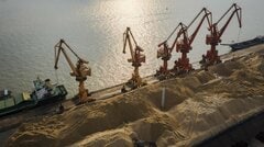 世界の食料価格、約3年ぶり高水準－穀物輸出懸念に悪天候重なる| TBS CROSS DIG with Bloomberg