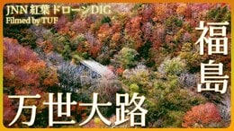 廃道の紅葉【JNN 紅葉ドローンDIG】|TBS NEWS DIG
