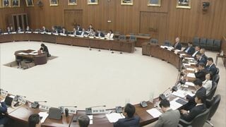 投票環境の整備など盛り込んだ国民投票法改正案が衆院憲法審査会で審議入り　来週採決の見通し| TBS CROSS DIG with Bloomberg