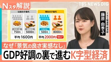 公共経済学批判 なぜ「景気実感なし」？GDP3期連続プラスの裏ですすむ“K字型経済”と