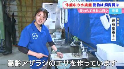 新屋島水族館】休館中の動物たちは？飼育員たちの日常は？「動物の調子