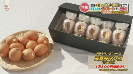 卵が1個1000円！？その名も「天草タマンゴ」熊本産の超高級たまご その