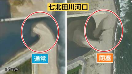 生物の楽園“干潟”が少雨でピンチ 河口が土砂でふさがる「長引けば生態