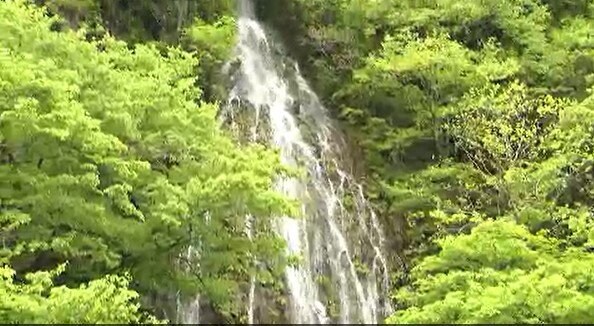 【滝画像あり】年に1度しか見られない!!【幻の滝】信州・木島平村「樽滝」2年ぶりに出現…新緑に囲まれた岩肌の斜面を水が白糸のように…「珍しいですよね…!」「めっちゃきれいです…!」|TBS NEWS DIG
