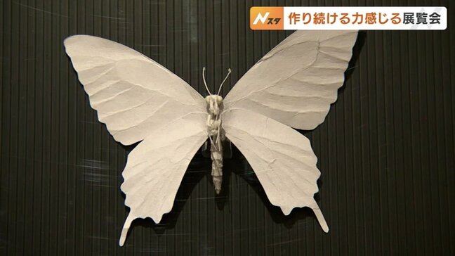 今にも動き出しそうなリアルな昆虫 富山市でアール・ブリュット展覧会 地震で被災した作家も出品|TBS NEWS DIG