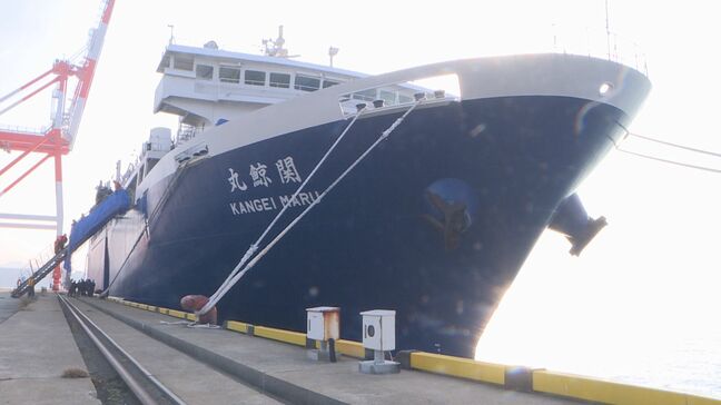 クジラ47頭を捕獲…「関鯨丸」今年4回目の操業を終え帰港 山口・下関|TBS NEWS DIG