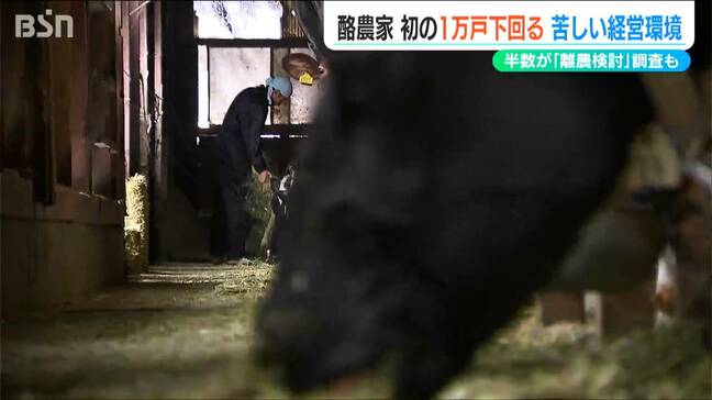 「離農者止まらず…」国内酪農家初の1万戸割れ 飼料代高騰などで新潟県内でも苦悩する生産者|TBS NEWS DIG