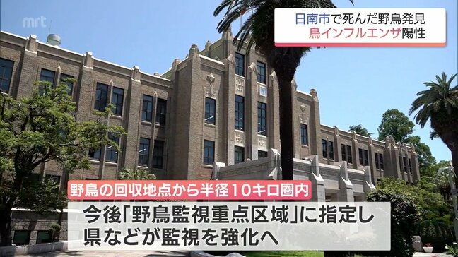 宮崎県内で今季初　日南市で死んだ野鳥から「鳥インフルエンザ陽性」を確認|TBS NEWS DIG