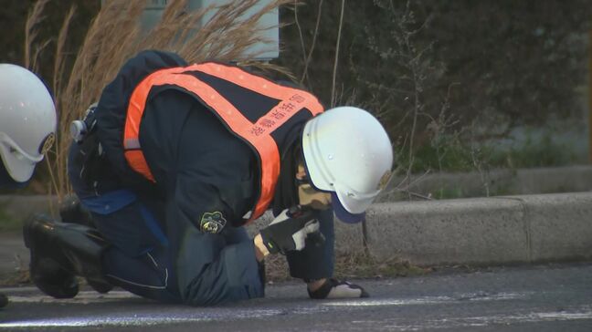 「運転中短気になる」「あおり運転の通報」の証言も…横断歩道で小学生をはね死亡させた元トラック運転手の男にきょう判決　助手席側窓ガラス・安全窓に「黒色のフィルム」　検察側の求刑は拘禁刑2年6か月|TBS NEWS DIG