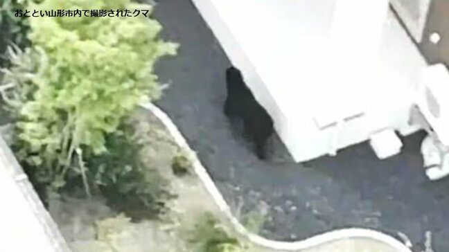 【速報】山形市内にクマ 県道を全面通行止めにして警察が対応進める おとといから目撃のクマと同一の可能性|TBS NEWS DIG