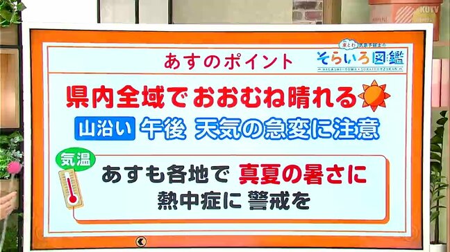高知の天気 日差しが届くのは18日まで 19日以降は天気ぐずつく 東杜和気象予報士が解説|TBS NEWS DIG