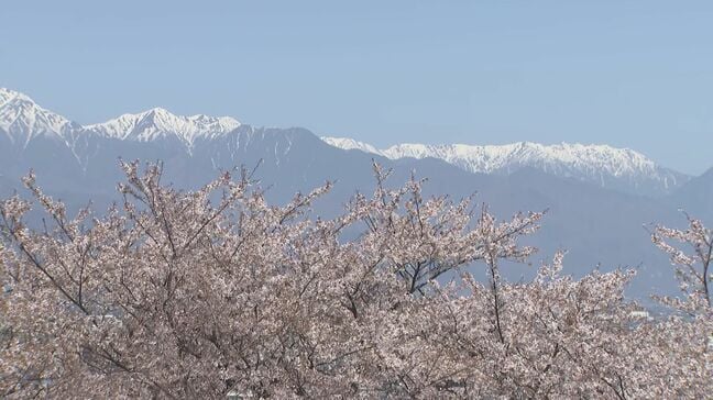 街並みに浮かぶ薄紅色の丘　松本市のサクラの名所・弘法山は花見の家族連れなどでにぎわう　長野|TBS NEWS DIG