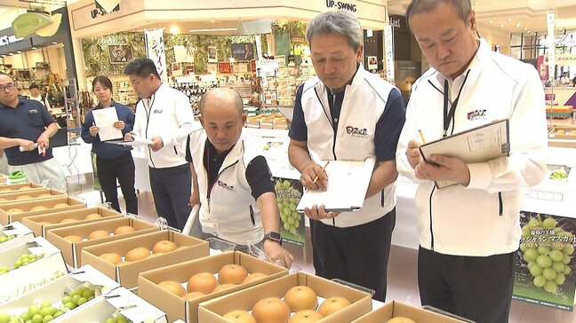 ナシとブドウの出来栄えを審査する品評会　20日に展示・販売　大分|TBS NEWS DIG