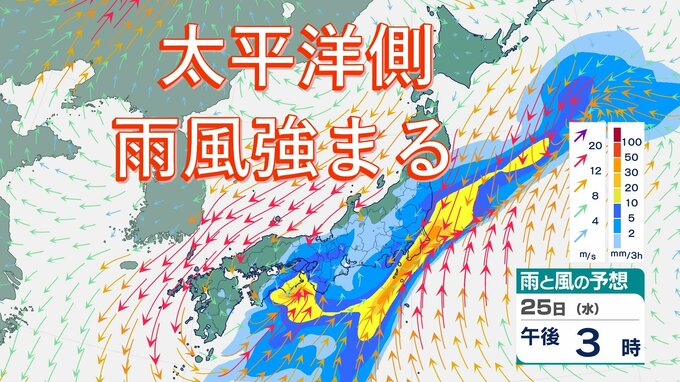 25日は太平洋側を中心に雨⋯いつどこで雨強まる？　しばらくは雨の日続く予想【雨風シミュレーション】|TBS NEWS DIG