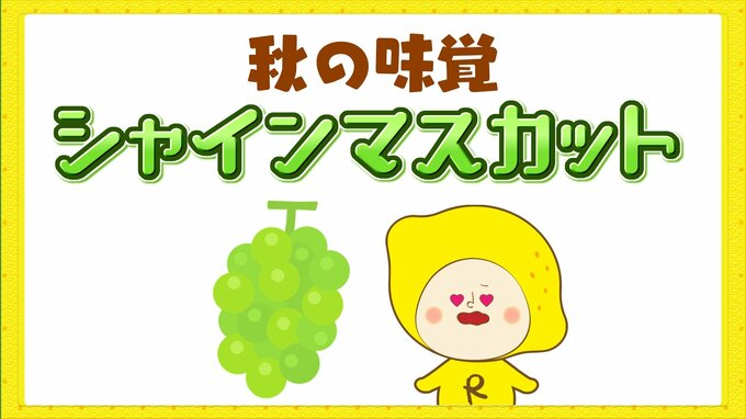 食欲の秋到来　おいしいシャインマスカットの見分け方って？　ポイントは粒の大きさと色|TBS NEWS DIG