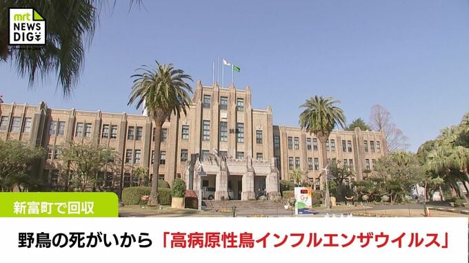 新富町で回収された野鳥の死がいから「高病原性鳥インフルエンザウイルス」検出　|　MRTニュース ｜ ＭＲＴ宮崎放送