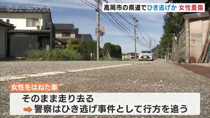 県道を歩いていた44歳女性 はねられ重傷　警察はひき逃げ事件として捜査　富山・高岡市|TBS NEWS DIG